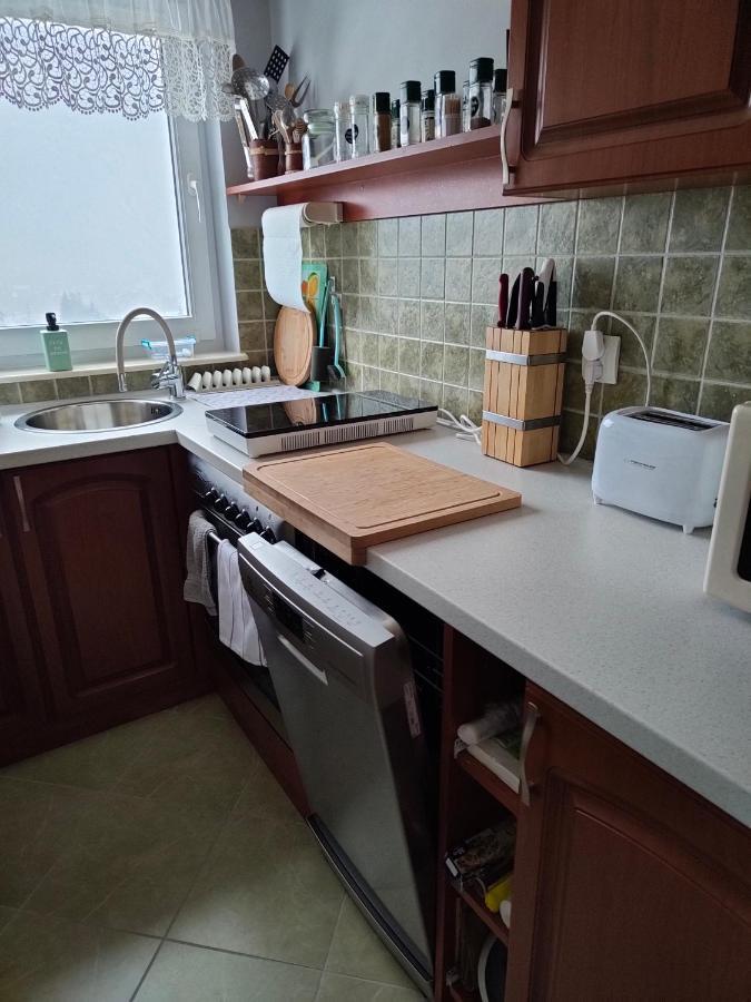 Apartament Zlap Oddech Zakopane Exterior foto